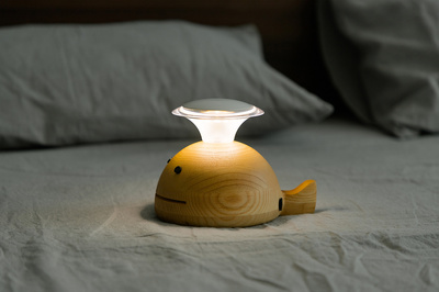 秋茂夜灯 静物摄影中的光影叙事